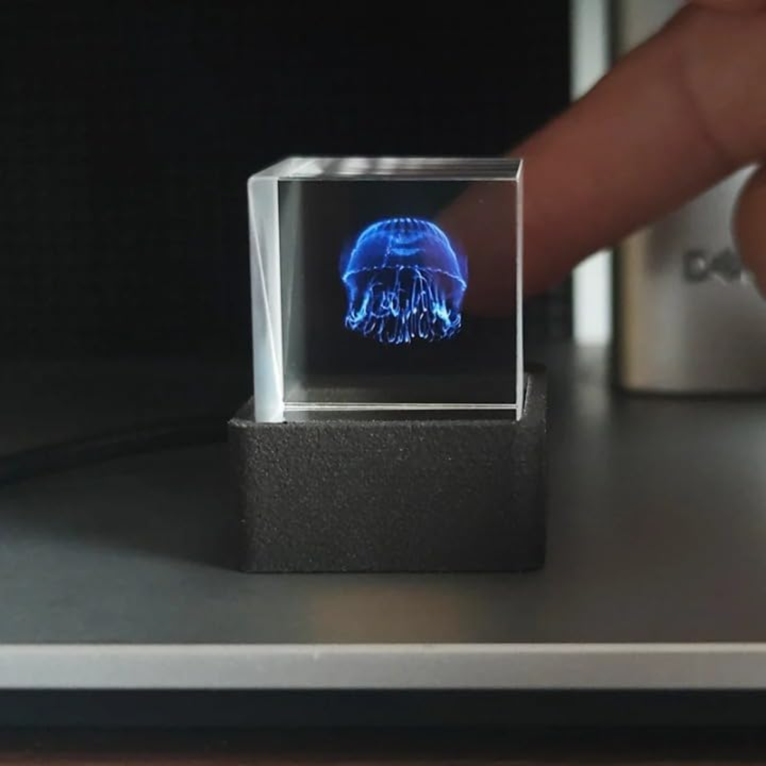 Smart Cube Vision